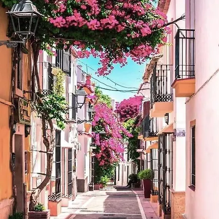 Apartament Beautiful Old Town Retreat *